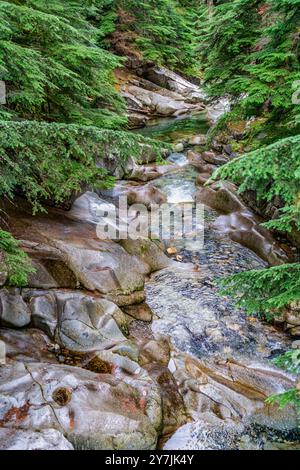 Wasser rauscht an Felsen im Denny Creek im Bundesstaat Washington vorbei. Stockfoto