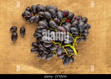 Ein Haufen reifer schwarzer Trauben auf einem Jutetuch, Makro, Draufsicht. Stockfoto