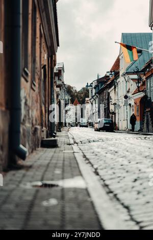 Alte Straße mit litauischer Flagge auf Gebäuden in der Altstadt von Tallinn, Estland Stockfoto