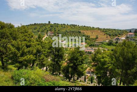 Die Juni-Landschaft in der Nähe der historischen Stadt Berat, Südalbanien. Blick vom Schloss Berat. Malerische ländliche Landschaft mit Olivenhainen, Pinien, Feldern Stockfoto