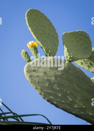 Sizilien Stockfoto