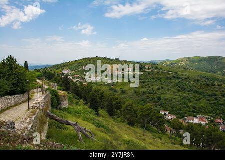 Die Juni-Landschaft in der Nähe der historischen Stadt Berat, Südalbanien. Blick vom Schloss Berat. Malerische ländliche Landschaft mit Olivenhainen, Pinien, Feldern Stockfoto