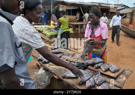 Eine Frau verkauft Fisch in Luzira - Kampala Uganda Stockfoto