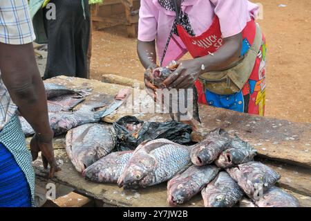 Eine Frau verkauft Fisch in Luzira - Kampala Uganda Stockfoto