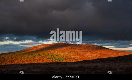 Der dramatische Sonnenuntergang wirft warmes Licht über einen herbstfarbenen Hügel, der im Kontrast zu dunklen Sturmwolken im Hintergrund steht. Stockfoto