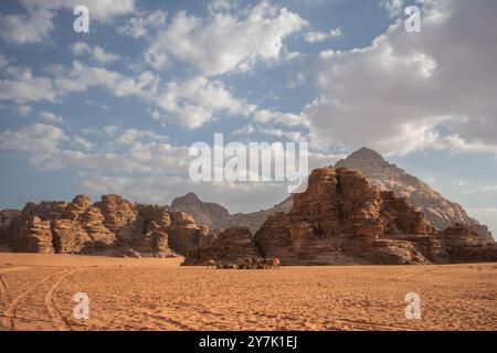 Jordanische Landschaft der Wadi Rum Wüste mit Gruppe von Kamelen. Felsformationen mit Sandboden im Süden Jordaniens. Stockfoto