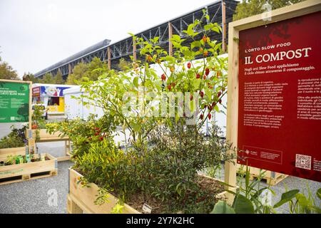 Turin, Italien. 30. September 2024. Chili-Pfeffersorten im Terra Madre Salone del Gusto 2024 Stockfoto