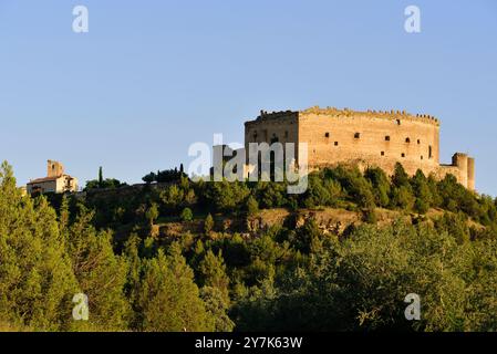 Lesen Sie den Blick auf die Burg der mittelalterlichen Stadt Pedraza in der Provinz Segovia. Stockfoto