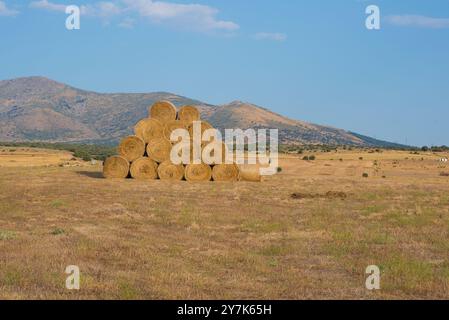 Platzierung zylindrischer Strohballen in Valdeprados, Provinz Segovia. Stockfoto