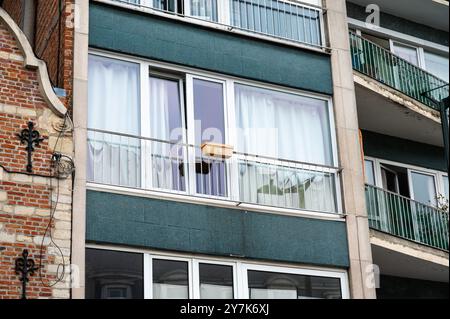 Dekorierte Fassaden von gehobenen Wohnhäusern in einer Reihe, Uccle, Brüssel, Belgien, 22. September, 2024 Stockfoto