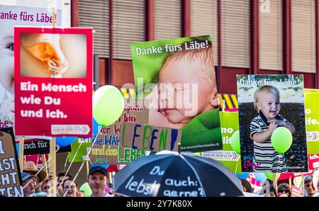 Dutzende Schilder mit unterschiedlichen Botschaften werden von den Demonstrationsteilnehmenden des Marsch für s'Lebä mitgeführt. (Zürich, Schweiz, 16. Stockfoto