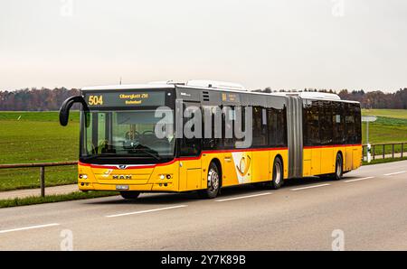 Ein Bus der Postauto AG der Buslinie 504 ist unterwegs auf einer ausserorts Strasse. Ziel ist der Bahnhof in Oberglatt. (Oberglatt, Schweiz, 18.11.202 Stockfoto