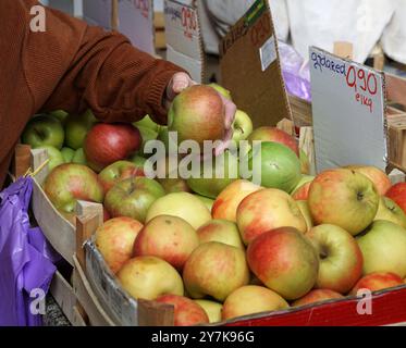 Die Hand einer alten Frau, die auf dem Markt einen lokal angebauten roten Apfel der Sorte Idared kaufte Stockfoto