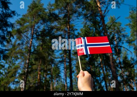 Ökologisches Konzept. Natur. Die schwedische Flagge ist auf dem Waldgrund isoliert. Flaggensymbole Schwedens. Nahaufnahme einer schwedischen Flagge vor dem Hintergrund Stockfoto