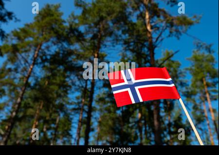 Ökologisches Konzept. Natur. Die schwedische Flagge ist auf dem Waldgrund isoliert. Flaggensymbole Schwedens. Nahaufnahme einer schwedischen Flagge vor dem Hintergrund Stockfoto