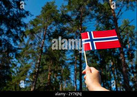 Ökologisches Konzept. Natur. Die schwedische Flagge ist auf dem Waldgrund isoliert. Flaggensymbole Schwedens. Nahaufnahme einer schwedischen Flagge vor dem Hintergrund Stockfoto