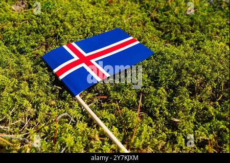 Ökologisches Konzept. Auf dem Bürgersteig in grünem Moos, Pflasterplatten mit dem Bild der Flagge Islands. Stockfoto