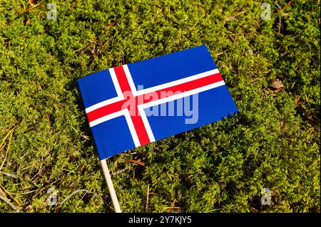 Ökologisches Konzept. Auf dem Bürgersteig in grünem Moos, Pflasterplatten mit dem Bild der Flagge Islands. Stockfoto