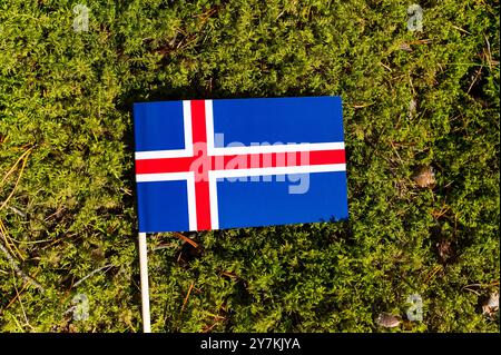 Ökologisches Konzept. Auf dem Bürgersteig in grünem Moos, Pflasterplatten mit dem Bild der Flagge Islands. Stockfoto