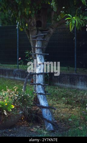 Hölzernes Vogelhaus auf Ästen Stockfoto