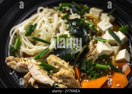 Japanische Küche, Udon-Nudeln mit Huhn, Algen und Tofu-Käse. Miso-Suppe. Nahaufnahme. Hochwertige Fotos Stockfoto
