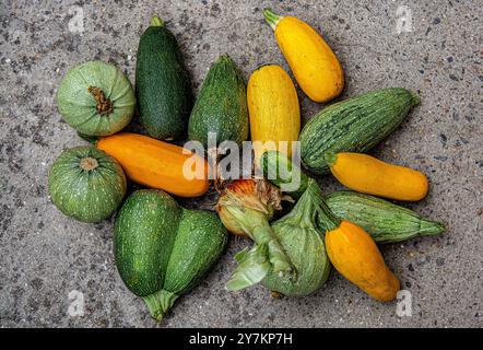 Zucchini, Gurke und Zwiebeln Stockfoto
