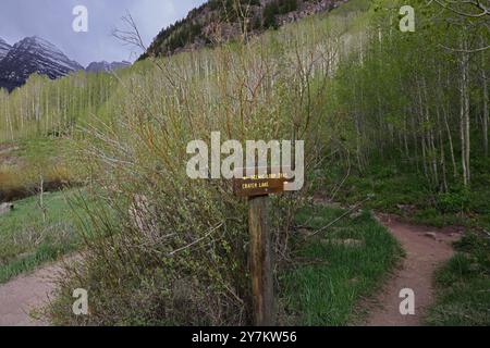 Ein Wegweiser für den Scenic Loop Trail oder Crater Lake, auf einem Wanderweg durch einen Beben von Aspen in den Elk Mountains in Aspen, Colo Stockfoto