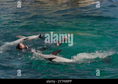 Lebendige Delfinshow: Trainer und Delfine im Marine Land, Südfrankreich Stockfoto