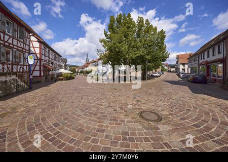 Lindenplatz mit Sommerlinden (Tilia platyphyllos), Bushaltestelle und Straßenaufteilung unter blauem Himmel mit Kumuluswolken aus dem Froschperspektiv Stockfoto