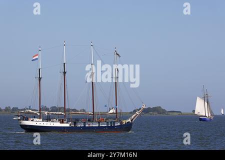 Historische Segelschiffe, traditionelle Segelschiffe auf dem IJsselmeer bei Enkhuizen, Nordholland, Westfriesland, Niederlande Stockfoto