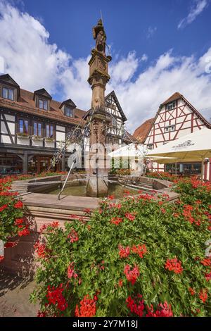 Historischer Marktbrunnen mit Geranien vor blauem Himmel mit Kumuluswolken in Michelstadt, Odenwald, Odenwaldkreis, Hessen, Deutschland, Europa Stockfoto