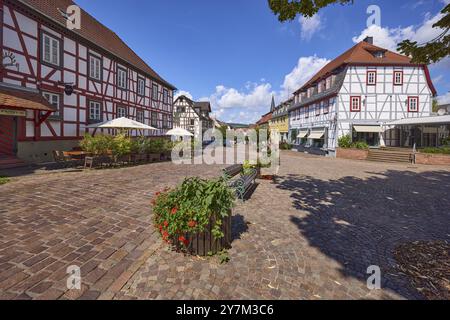 Lindenplatz mit Pflanzgefäßen und Bank, Fachwerkhäuser mit Restaurant am Lindenplatz in Michelstadt, Odenwald, Odenwaldkreis, Hessen, Deutschland, Euro Stockfoto