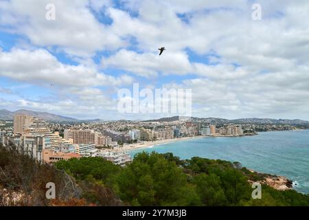 Atemberaubende Aussicht aus der Luft Calpe Spanien Mittelmeerküste Penon de Ifach Felsen üppige Vegetation sonniger Tag Tourismus Paradies, Panoramablick Calpe Stockfoto
