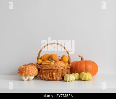 Herbsternte von Kürbissen im Korb auf weißem Hintergrund. Verschiedene Kürbissorten auf dem Tisch. Thanksgiving oder Halloween Zeit. Kopierbereich. Stockfoto