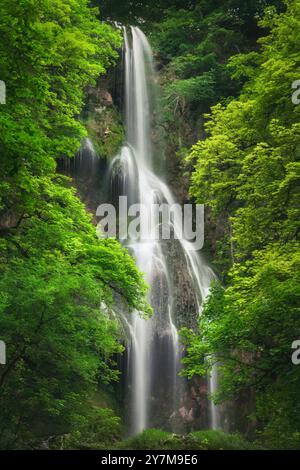 Herrliche, ruhige Wasserfälle umgeben von üppiger grüner Vegetation. Vertikale Naturaufnahme aus kaskadierendem, glattem Wasser und lebendigem Laub Stockfoto