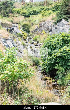 Creek in Pouch Cove, Neufundland & Labrador, Kanada Stockfoto