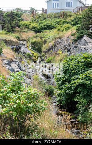 Creek in Pouch Cove, Neufundland & Labrador, Kanada Stockfoto