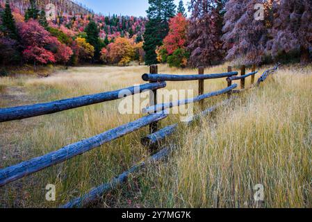 Wunderschöne Herbstfarben entlang des Mt. Nebo Scenic Loop, Payson, Utah, USA. Ganz oben auf der Liste der spektakulären Herbstfahrten. Mt. Nebo ist fast 12.000 m entfernt. Stockfoto