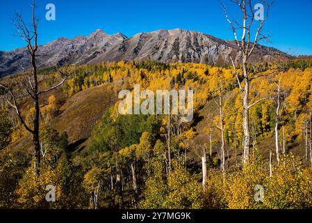 Wunderschöne Herbstfarben entlang des Mt. Nebo Scenic Loop, Payson, Utah, USA. Ganz oben auf der Liste der spektakulären Herbstfahrten. Mt. Nebo ist fast 12.000 m entfernt. Stockfoto