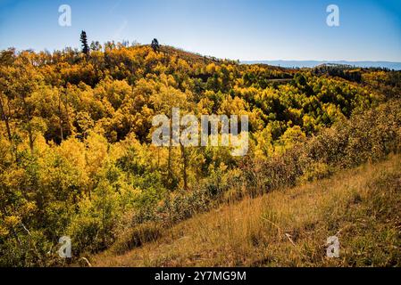 Wunderschöne Herbstfarben entlang des Mt. Nebo Scenic Loop, Payson, Utah, USA. Ganz oben auf der Liste der spektakulären Herbstfahrten. Mt. Nebo ist fast 12.000 m entfernt. Stockfoto