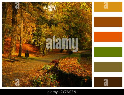 Schatten des Herbstes. Wunderschöne Herbstlandschaft und passende Farbpalette Stockfoto