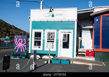 Mini Aquarium an der Southside Road in Petty Harbour – Maddox Cove, Neufundland und Labrador, Kanada Stockfoto