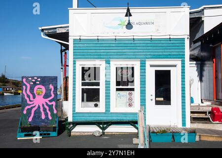 Mini Aquarium an der Southside Road in Petty Harbour – Maddox Cove, Neufundland und Labrador, Kanada Stockfoto