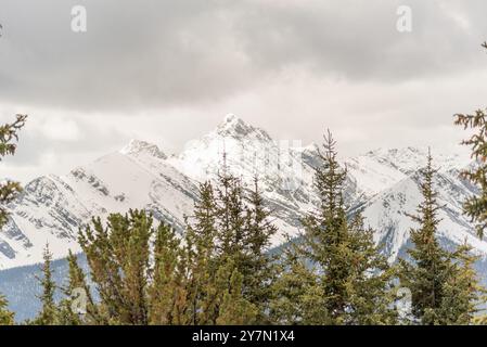 Atemberaubende Berggipfel von der Spitze der Banff-Gondel im Frühling mit schneebedeckten Bergen rund um den Alpengipfel. Stockfoto