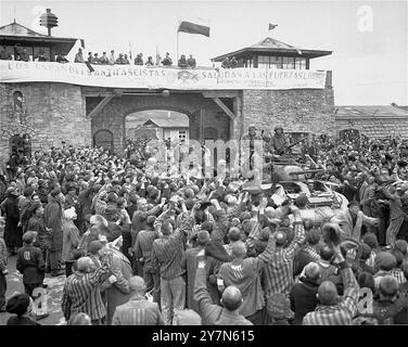 Mauthausen-Überlebende feuern die Soldaten der elften Panzerdivision der US-Third Army einen Tag nach ihrer tatsächlichen Befreiung an. Mauthausen war ein NS-Zwangsarbeitslager, das Teil des Mauthausen-Komplexes war. Auf seiner Höhe hatte sie 85.000 Gefangene auf einmal. Es war berüchtigt für seine Härte - es wird geschätzt, dass von den 190.000 Gefangenen, die während der Operationen dort festgehalten wurden, die Hälfte vollständig gestorben ist. Dort befand sich der Wiener Graben und seine gefürchteten Todessteige, wo viele starben, als sie riesige Lasten die 186 Steintreppen hinauftrugen. Stockfoto