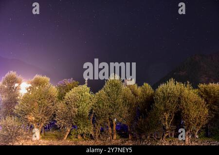 Pahalgam, Indien. 30. September 2024. Ein Langzeitfoto zeigt Sterne, die den Himmel über dem Wald in Pahalgam erleuchten, einer Bergstation etwa 120 km von Srinagar, der Sommerhauptstadt von Jammu und Kaschmir, entfernt. Quelle: SOPA Images Limited/Alamy Live News Stockfoto