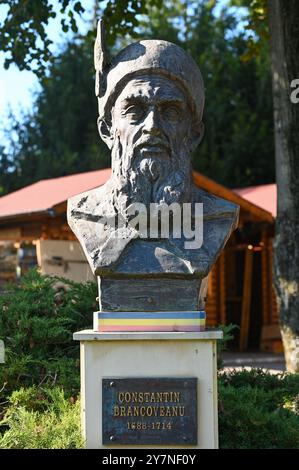 Parcul Chindia - Targoviste, Dâmbovița, Rumänien Stockfoto