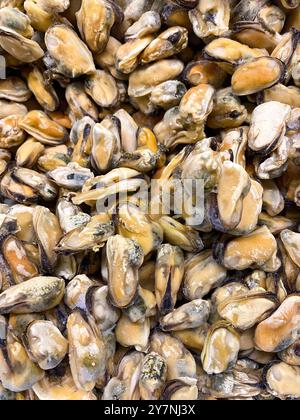 Tiefgefrorene, Gekochte Chilenische Muscheln Von Oben. Stockfoto