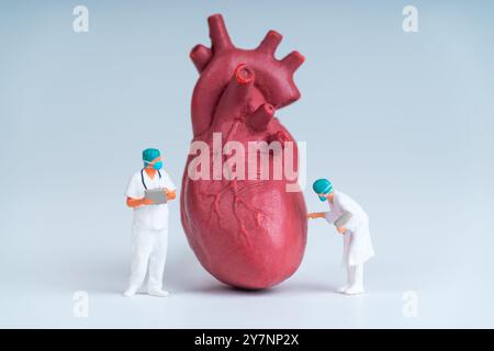 Zwei medizinische Fachleute analysieren ein großes anatomisches Herzmodell, das Gesundheitswesen, Anatomiestudien und kardiovaskuläre Aufklärung repräsentiert. Stockfoto