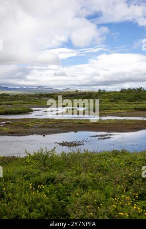 Eine ruhige Landschaft mit einer üppigen grünen Wiese mit einem sich windenden Bach unter einem teilweise bewölkten Himmel. Stockfoto